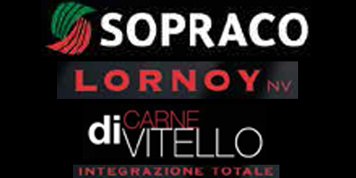 sopracolornoyrullo.jpg"